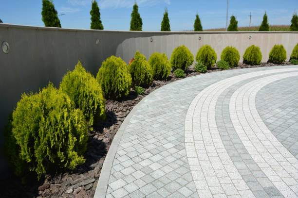 Professional Driveway Pavers in Spring Valley, NV